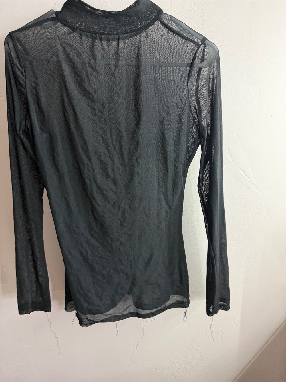 Sheer Black Long-Sleeve Mock Neck Top